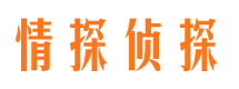 林甸侦探公司